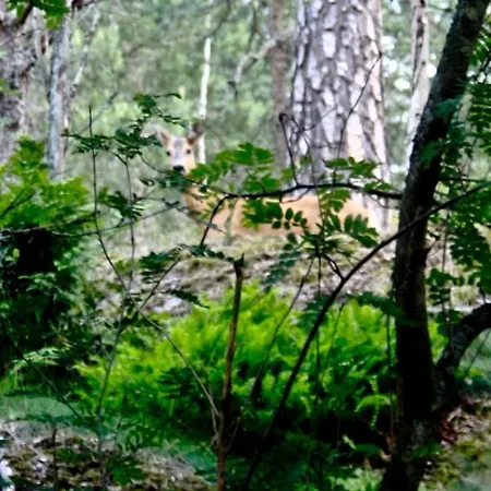 Bed&Breakfast In Nature 12 Min From City Free Bikes-3